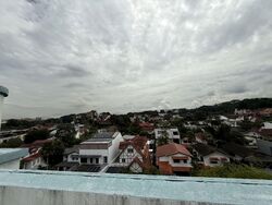 Freesia Woods (D21), Condominium #559744391